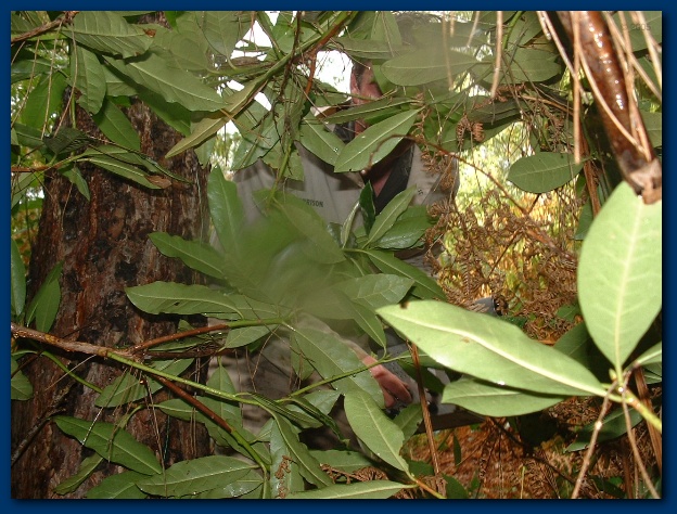 600x449 pixels (163K)